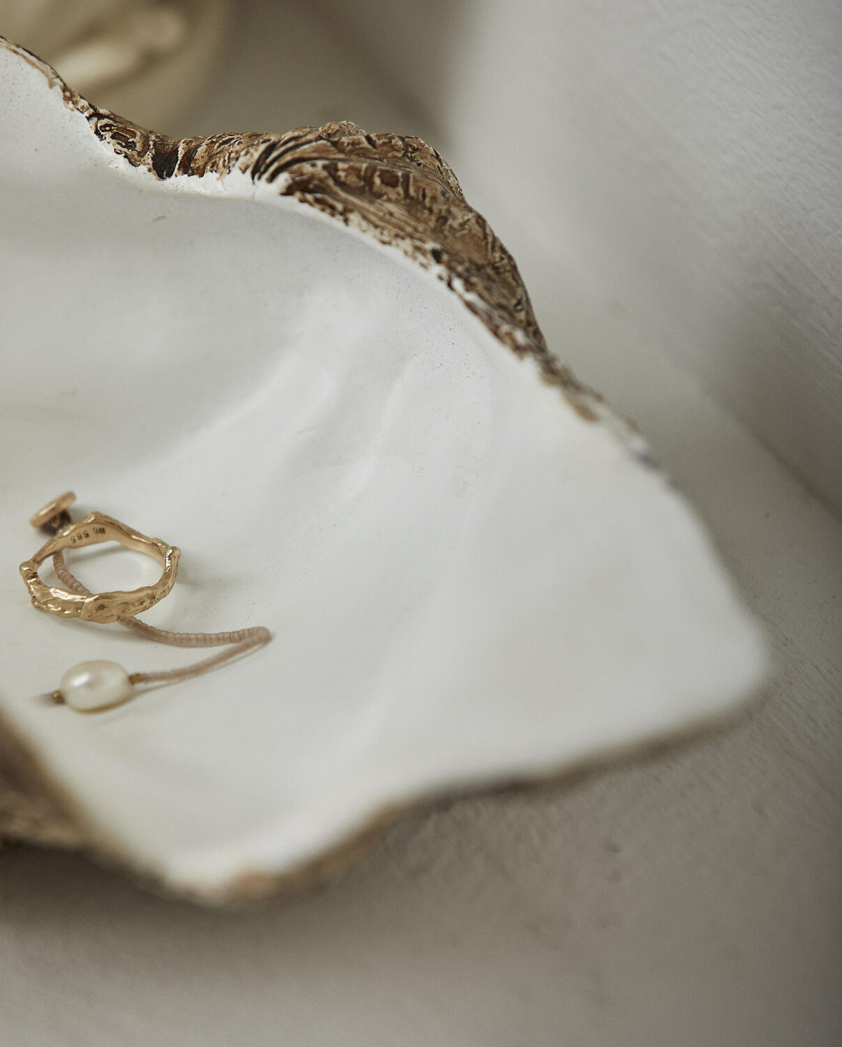 Kichi shell, Small - brown